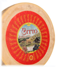 Italian Cheese Bitto