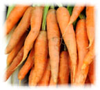 Морковь из Креанс